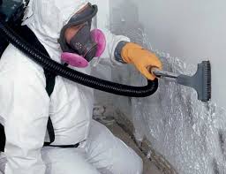 Best Biohazard Mold Removal  in Atkinson, NE